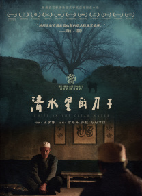天天干夜夜噜